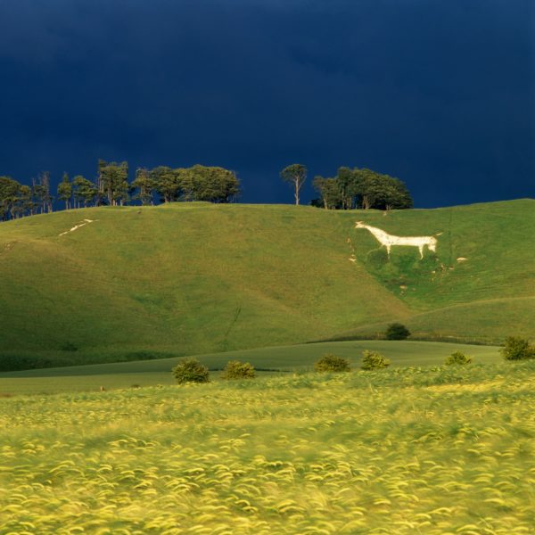 Cherhill White Horse