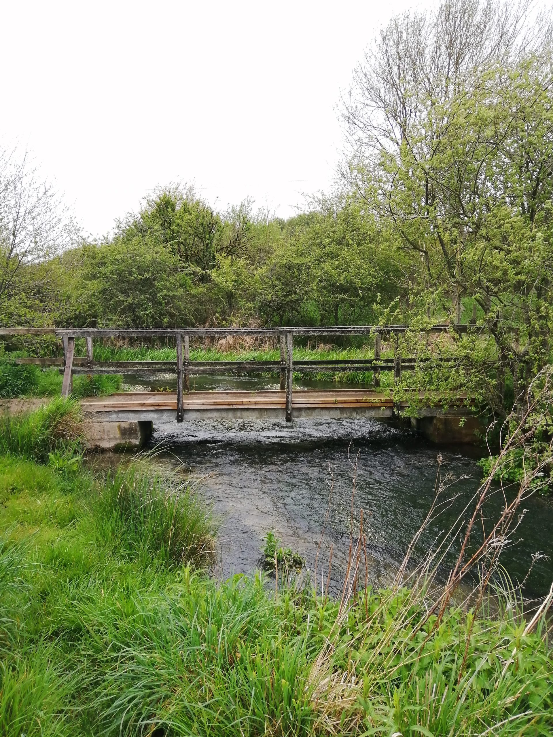Freeman's Marsh at Hungerford North Wessex Downs AONB