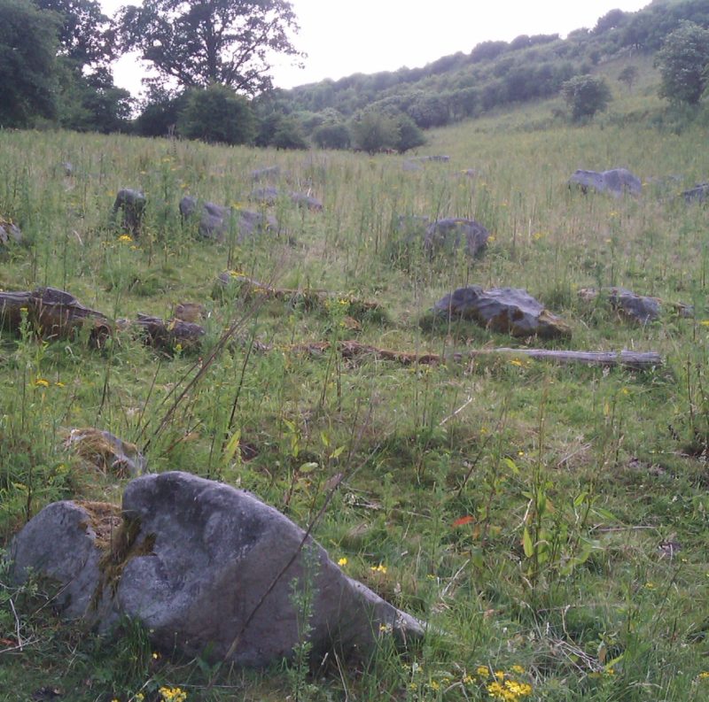 A collection of sarsen stones in a field with wildflowers
