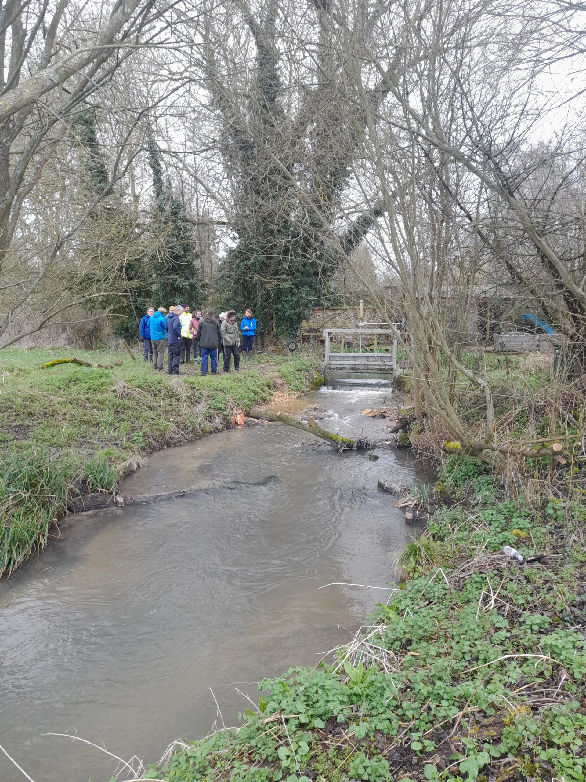 A group of people are standing together next to the fish pass