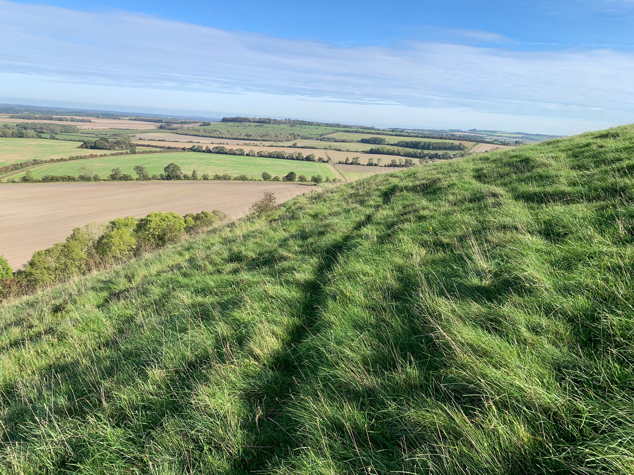 Grassland in the foreground with fields stretching into the background under a blue sky