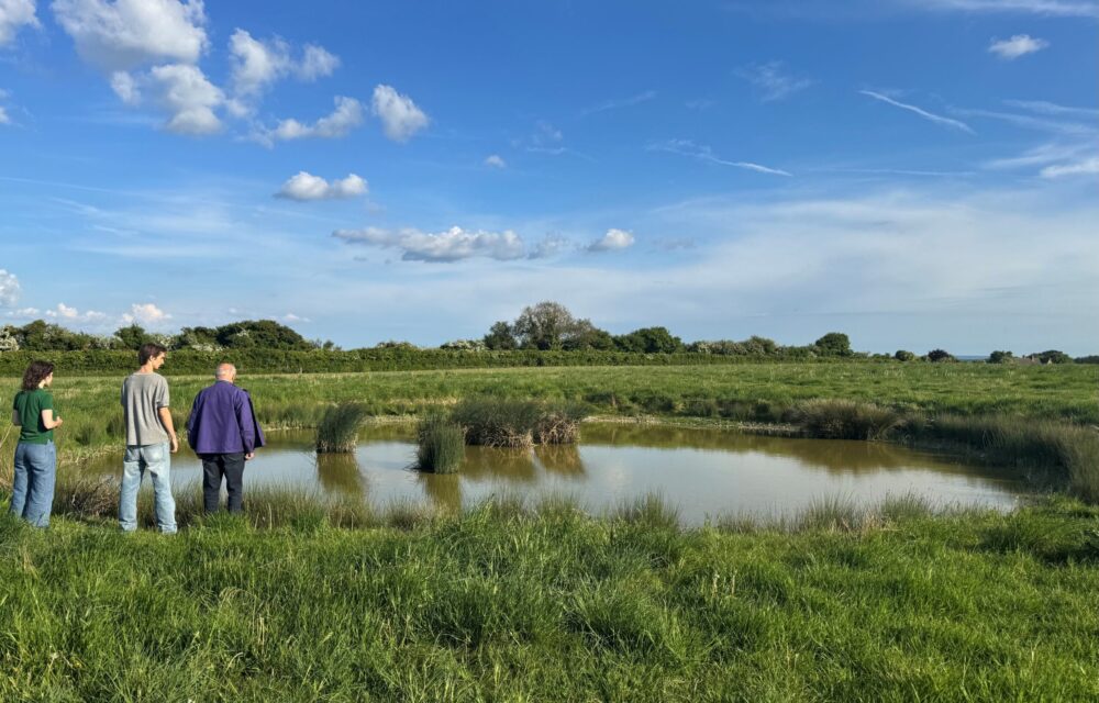 Dew pond at Sheepdrove farm, with people