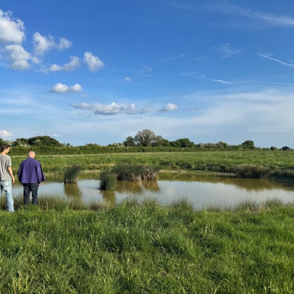 Dew pond at Sheepdrove farm, with people