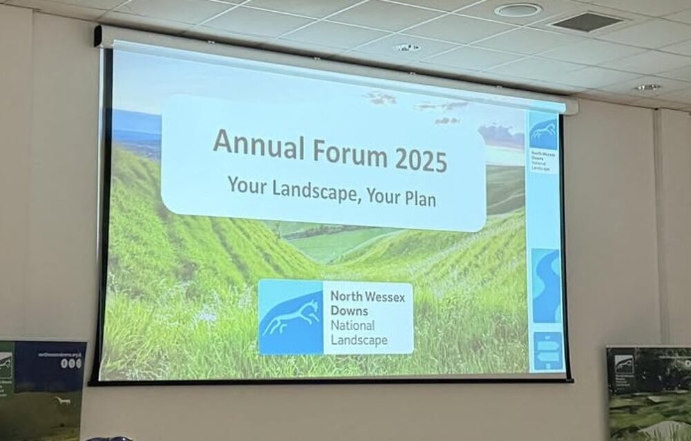 Introduction presentation slide