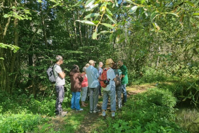 Moor Copse woodland restoration