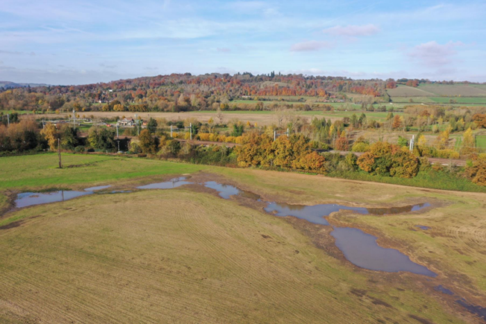 Sulham wetland