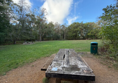 Snelsmore Common Picnic Area