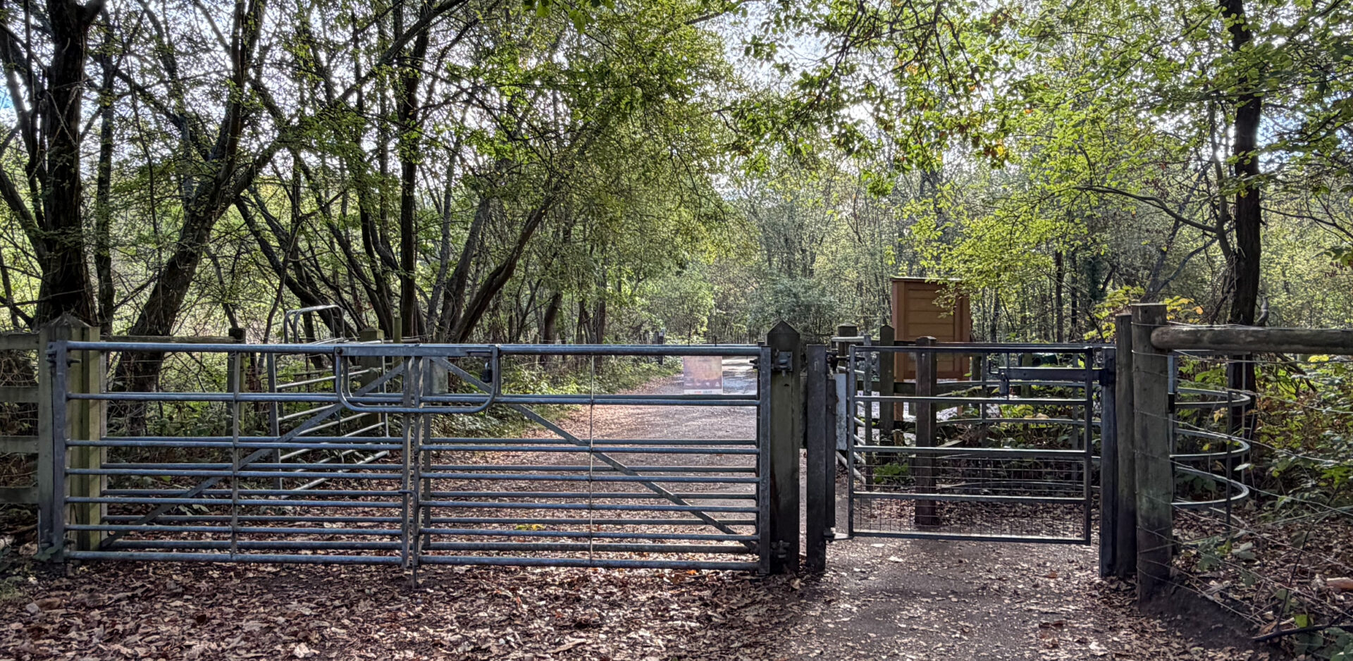 Kissing Gate at Snelsmore Common