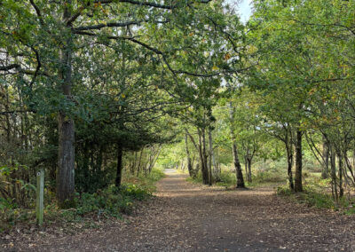 Snelmore Walk View
