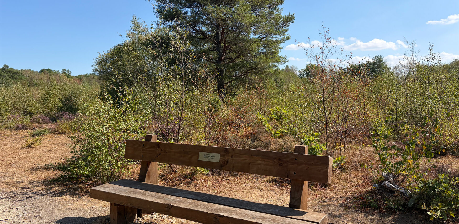 Snelsmore Bench 1