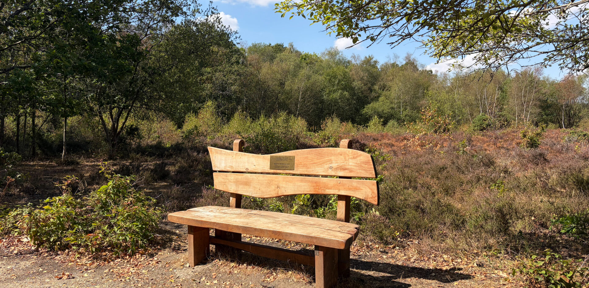 Snelsmore Bench 2