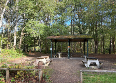 Snelsmore Common Covered Seating