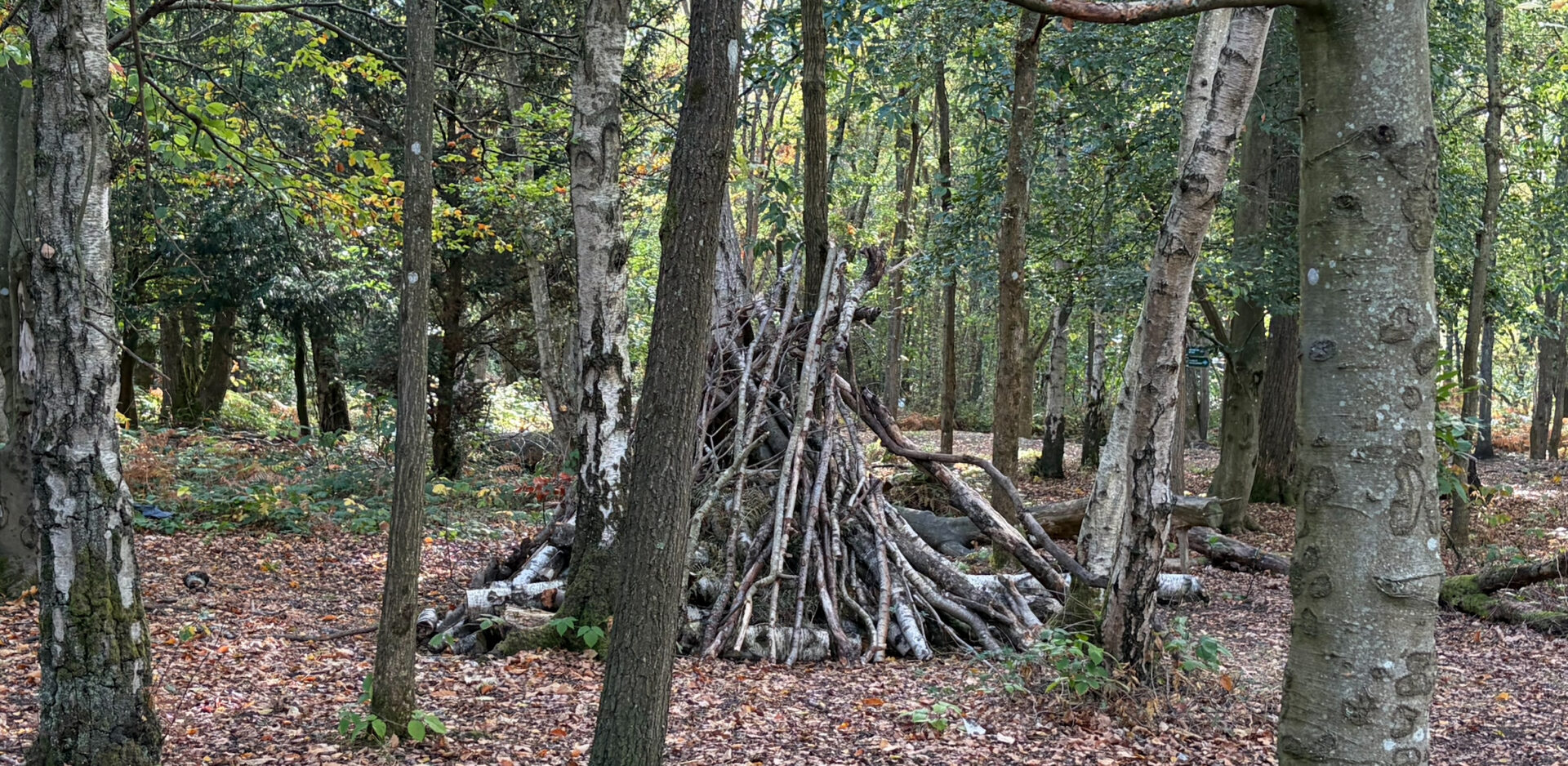 Snelsmore Woodland Den