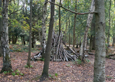 Snelsmore Woodland Den